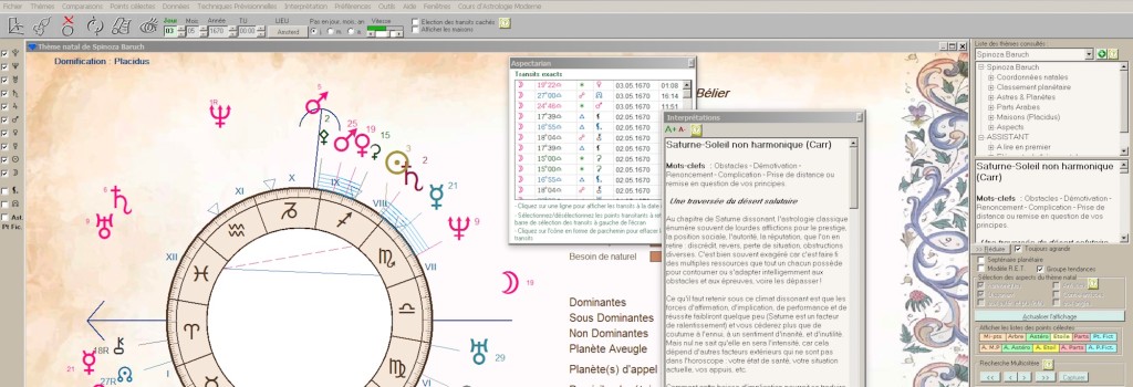 Logiciel d'astrologie professionnel simple d'utilisation