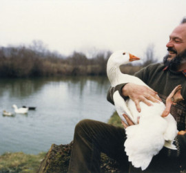jean-pierre Nicola