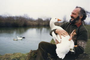 jean-pierre Nicola